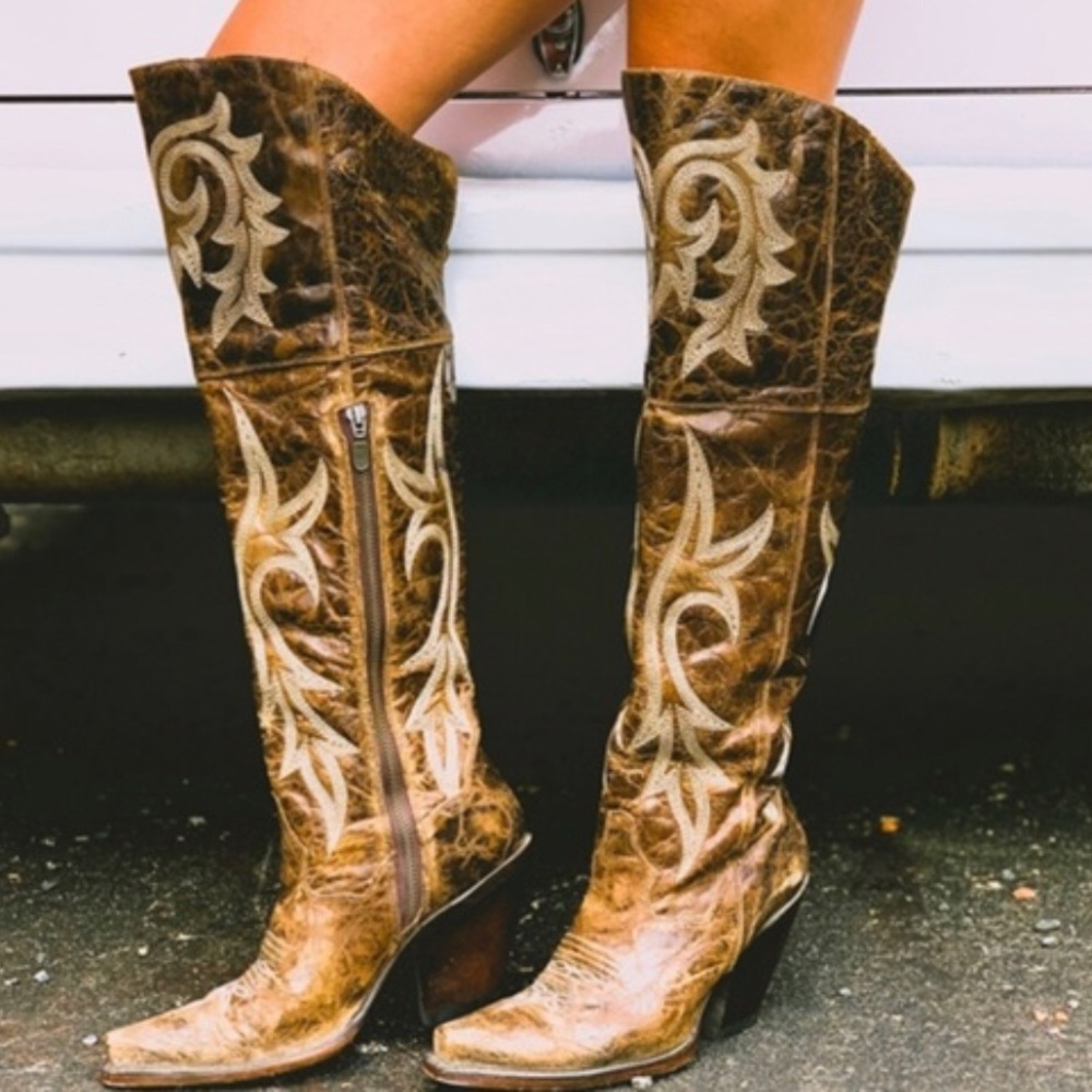 NWT Dan Post jilted brown snip toe cowboy boot!